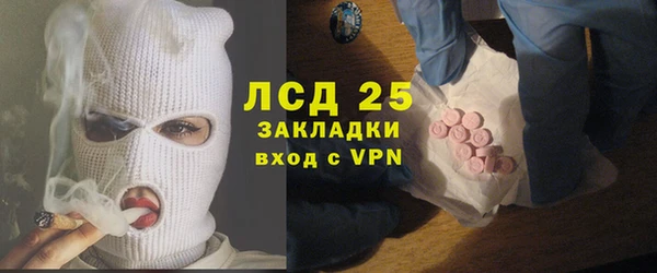 амф Ельня