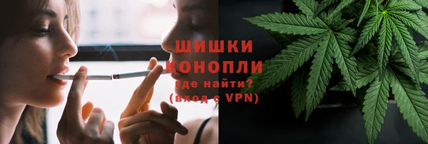 винт Елизово