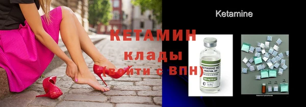 амф Ельня