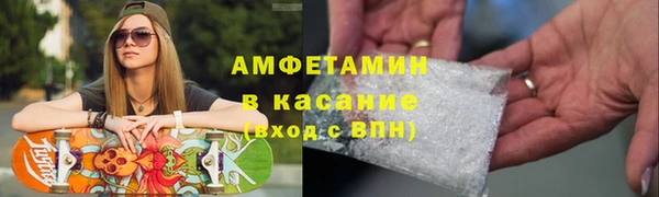 амф Ельня