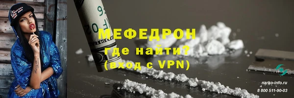 амф Ельня