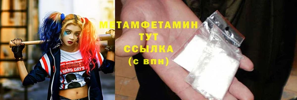 амф Ельня