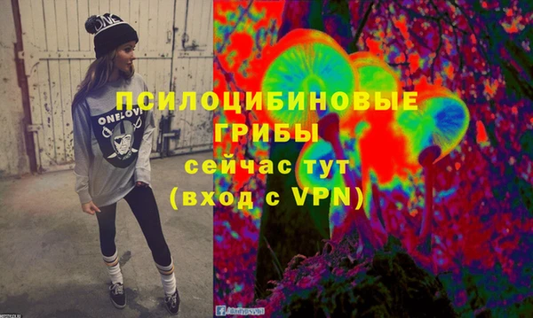 амф Ельня