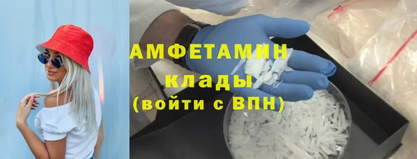 амф Ельня