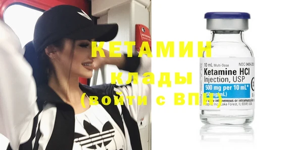 амф Ельня