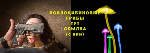 винт Елизово
