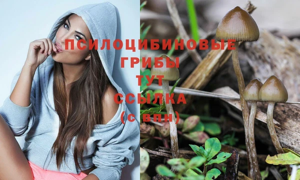 стафф Елабуга
