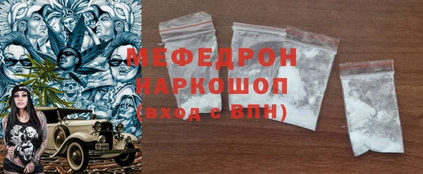 амф Ельня