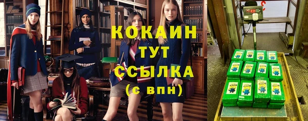 амф Ельня