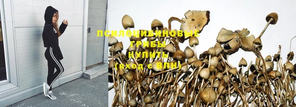 амф Ельня