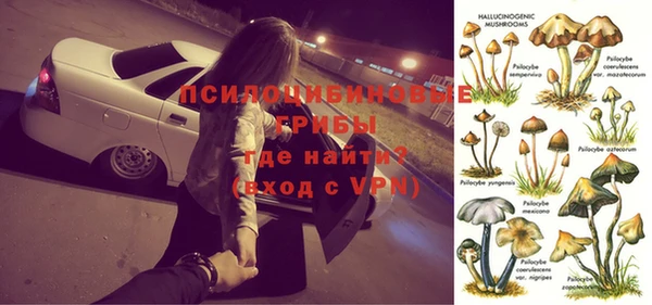 винт Елизово