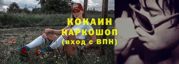 стафф Елабуга