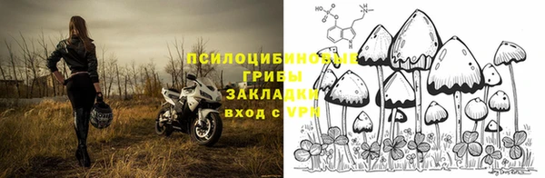 винт Елизово